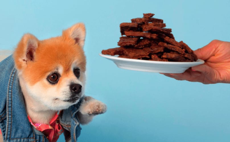 Dog reaching out for a plate of treats