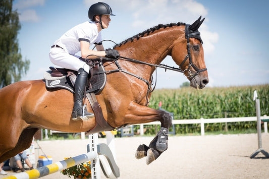 Why Show Jumping Is So Much Fun - for You and Your Horse