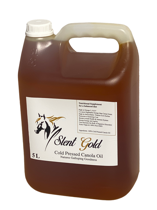 Slent Gold Cold Pressed Canola Oil Nutritional Supplement For Horses Non-GMO 5L