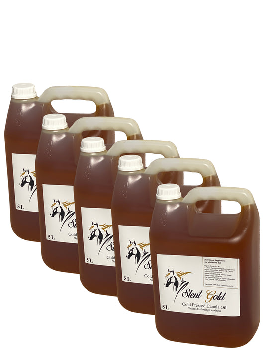 Slent Gold Cold Pressed Canola Oil Nutritional Supplement For Horses Non-GMO 5L x 5
